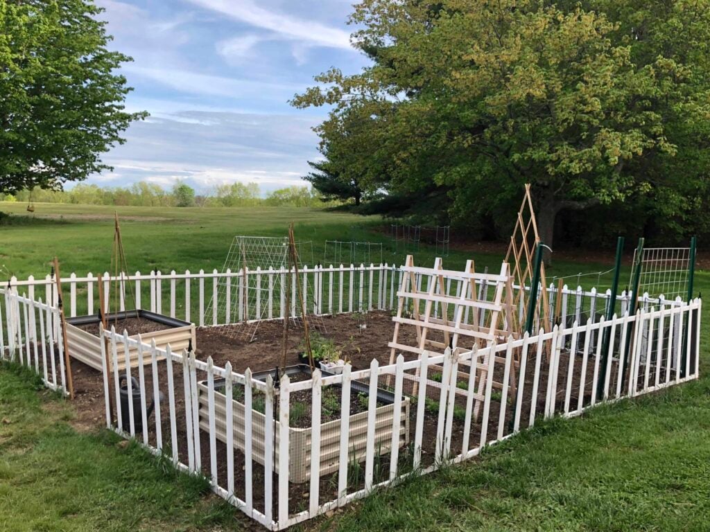 vegetable garden