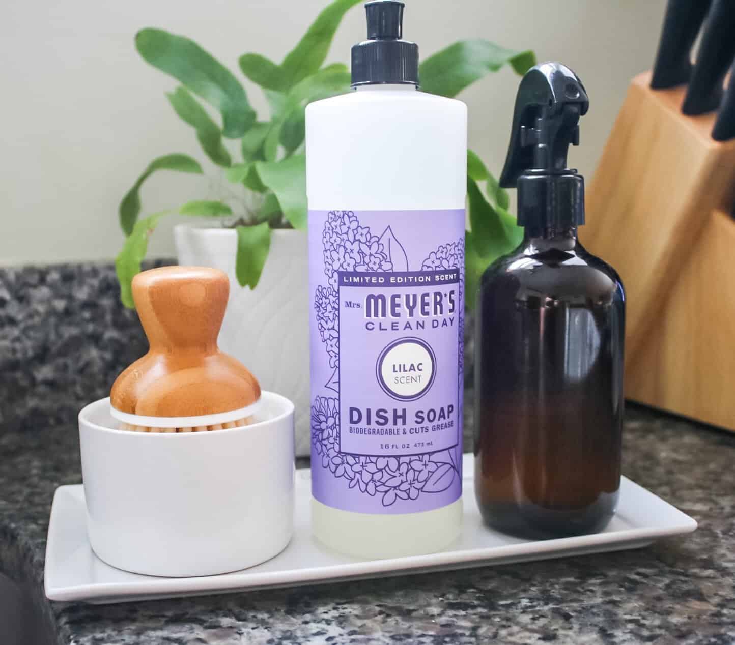 kitchen soap dish