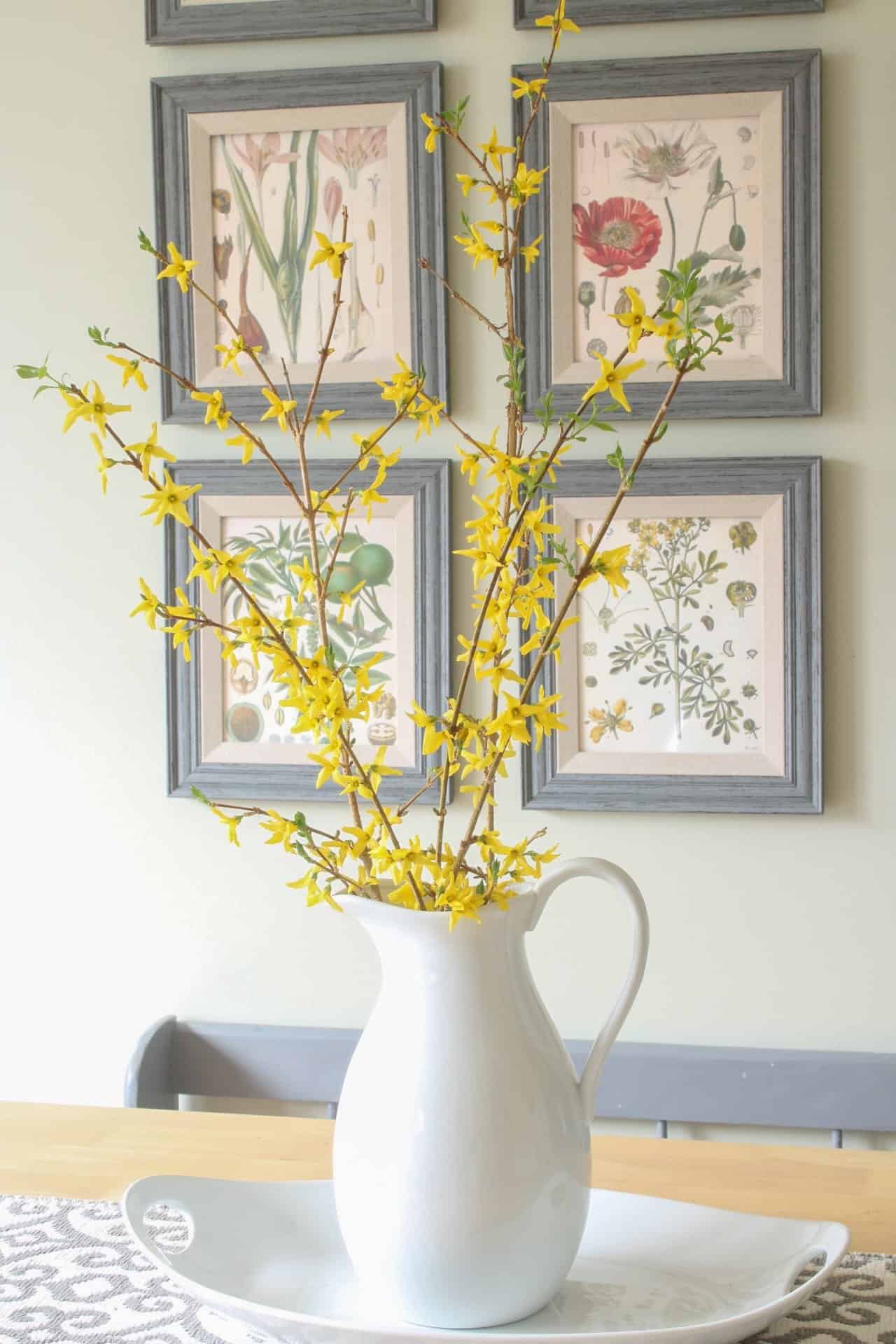 forsythia vase