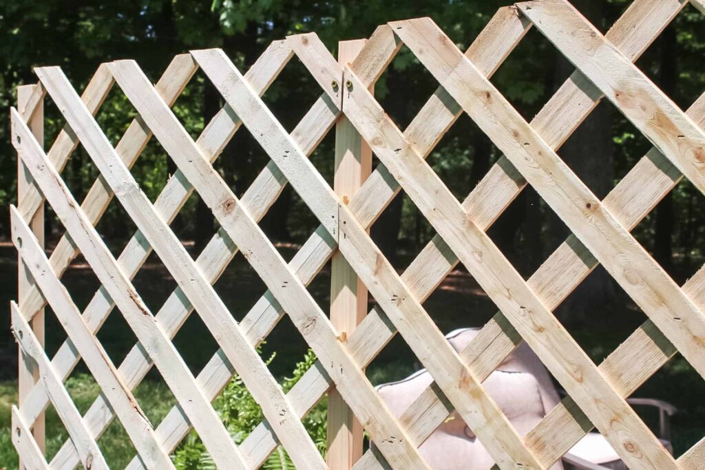 lattice trellis