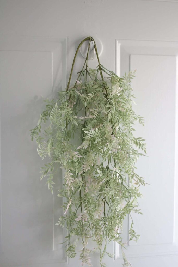 michael's sage and ficus bush