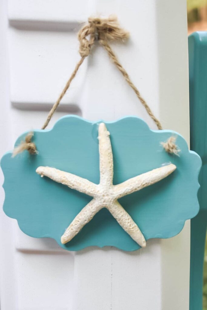 STARFISH HANGER