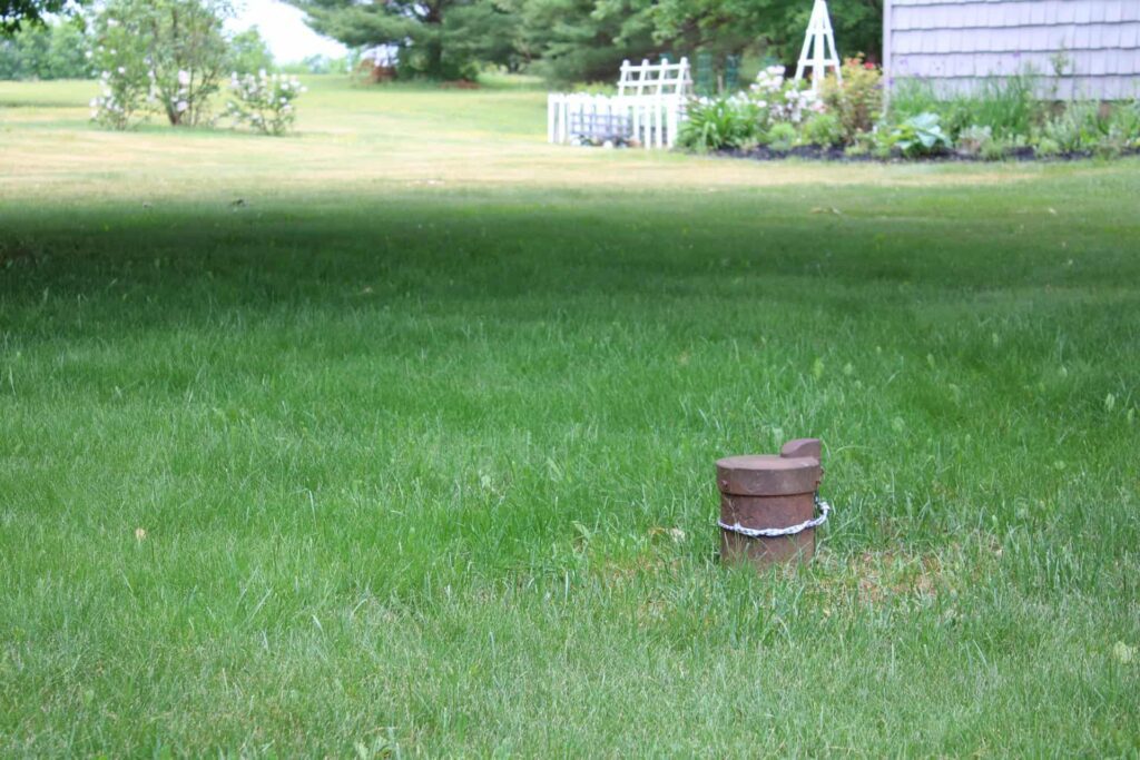 starting a flower garden