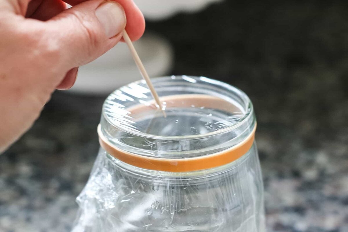 How To Get Rid Of Fruit Flies - Cottage On Bunker Hill