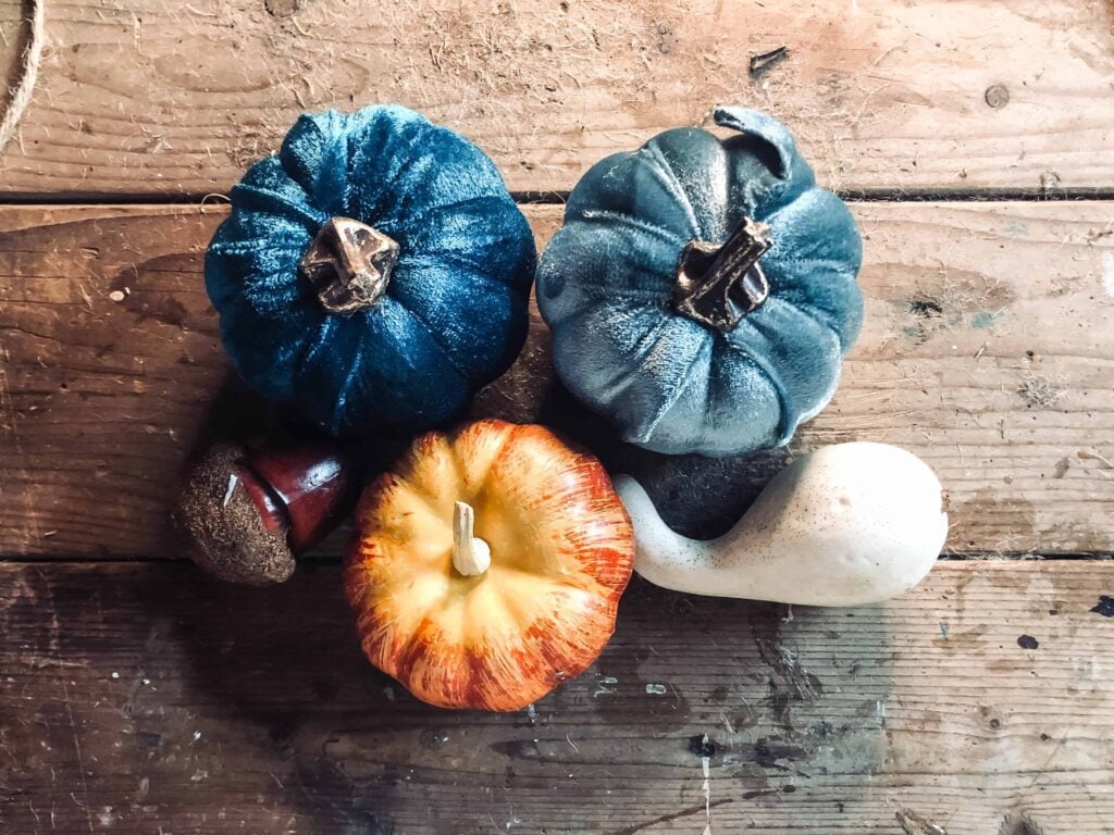 pumpkins and acorn