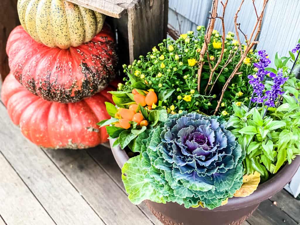 fall planter from costco