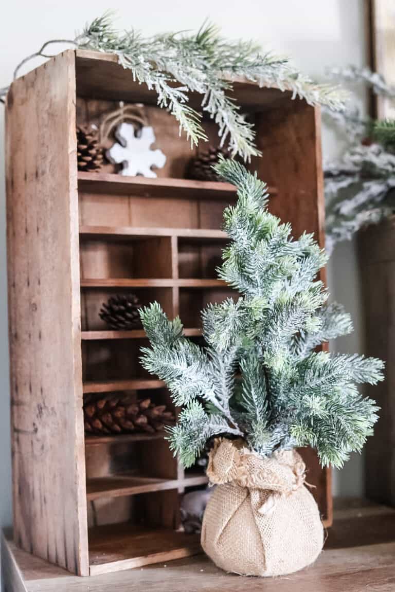 South of england christmas show