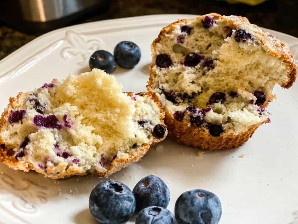 BLUEBERRY MUFFIN ON PLATE