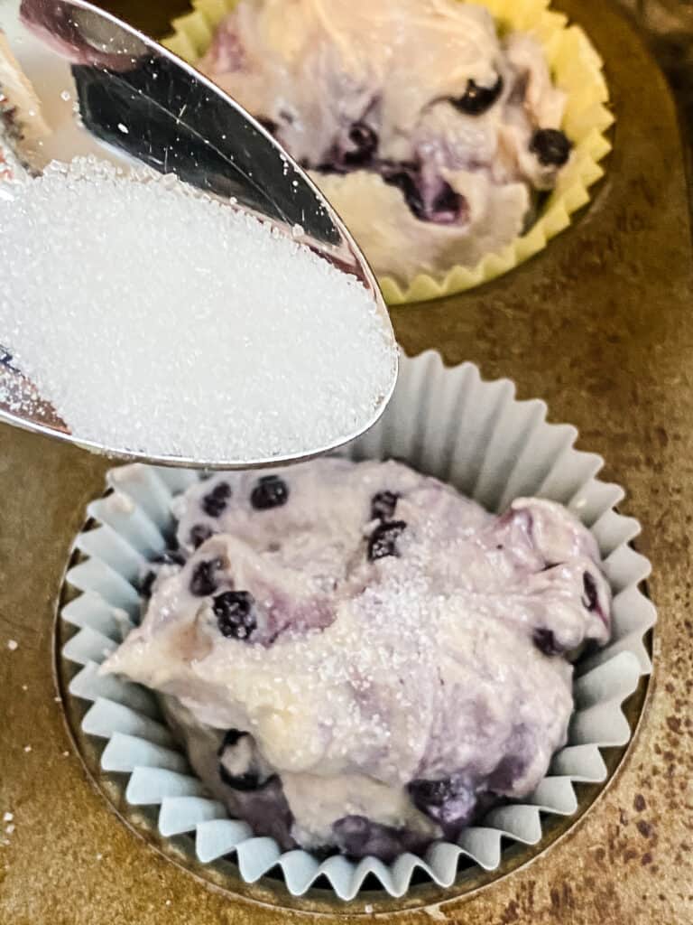 SUGAR ON TOP OF BLUEBERRY MUFFINS
