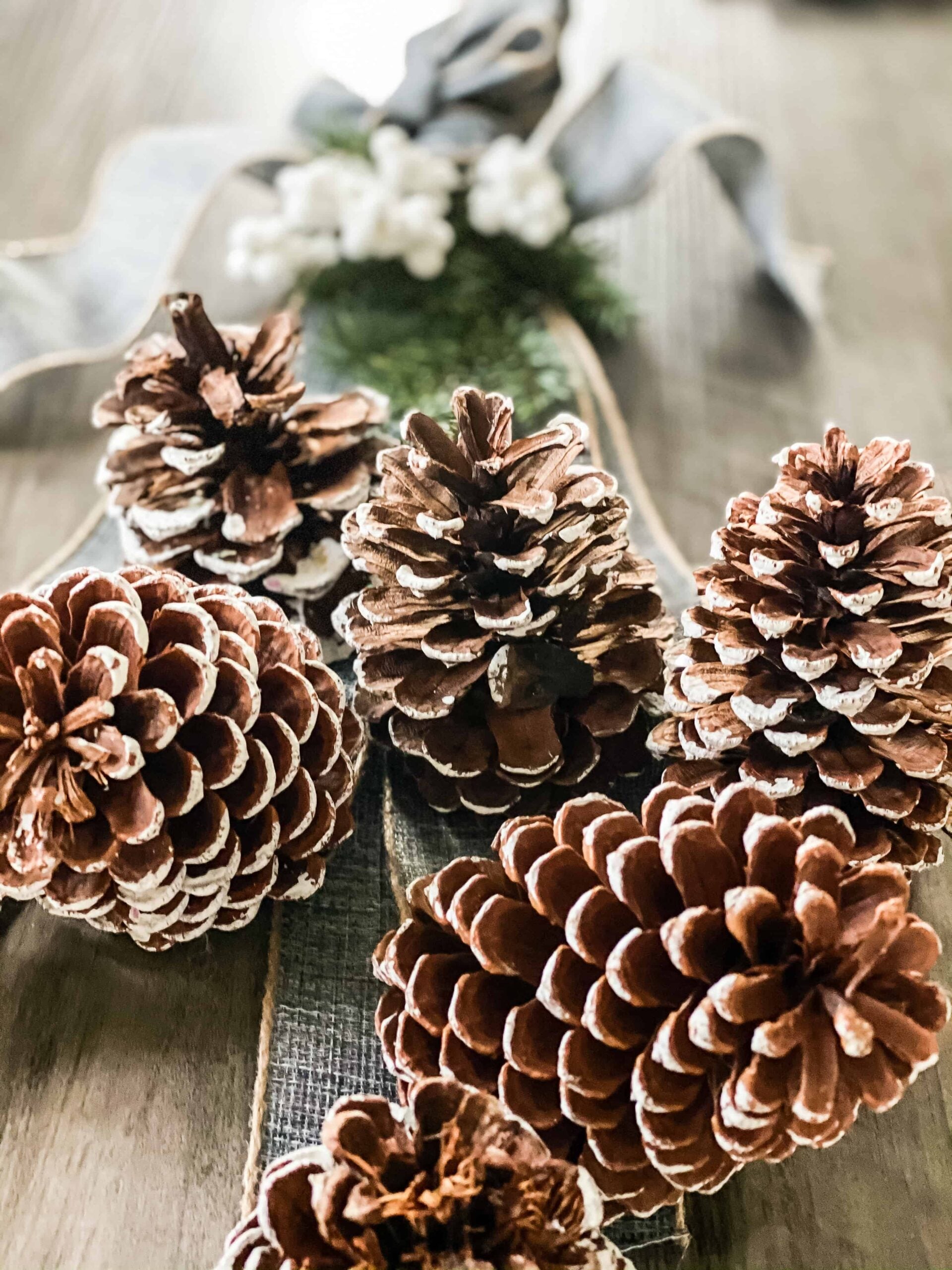 pine cone door swag