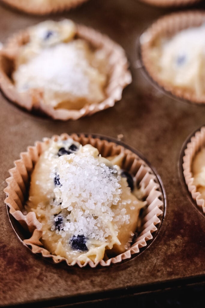 pre baked blueberry muffins