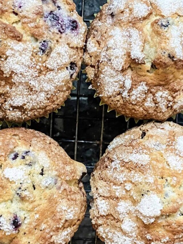 blueberry muffin