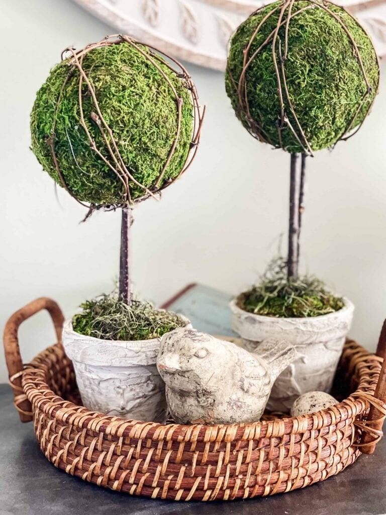 How To Make Moss Ball Topiaries Cottage On Bunker Hill
