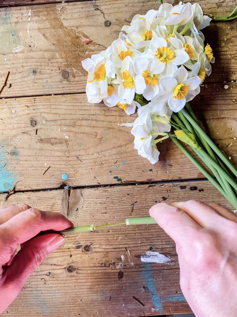 Making A Daffodil Arrangement For Spring Cottage On Bunker Hill