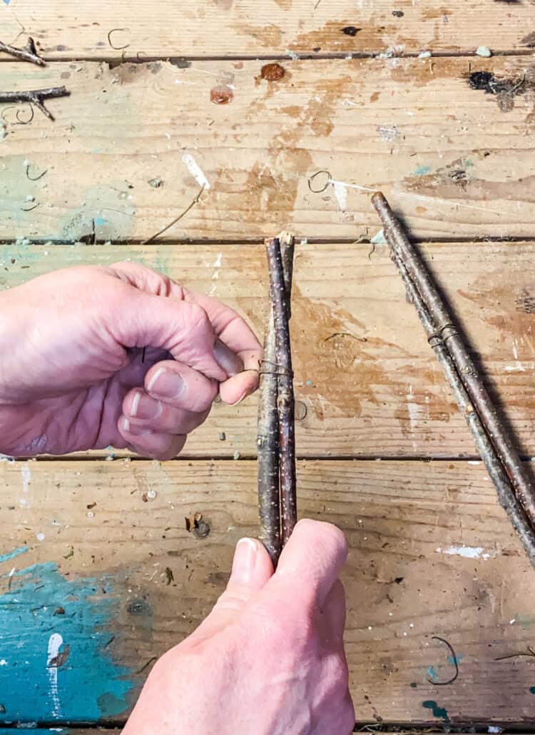 sticks to make a topiary
