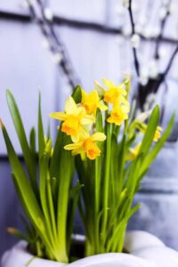 Vintage Spring Porch Makeover: Budget-Friendly Ideas - Cottage On ...