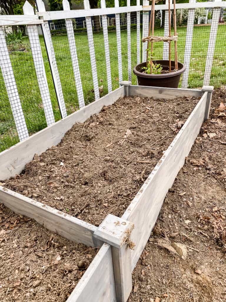 filled raised beds in cutting garden