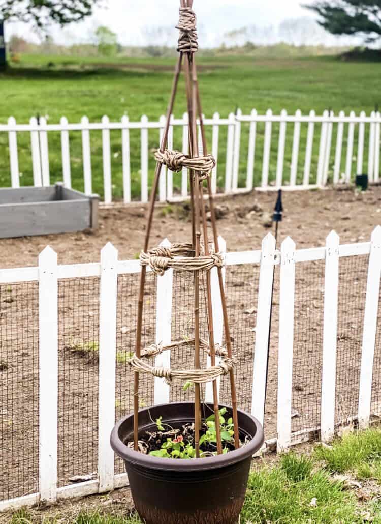 flower tower support for a pot