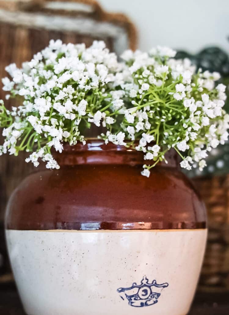 bean pot with baby's breath flowers