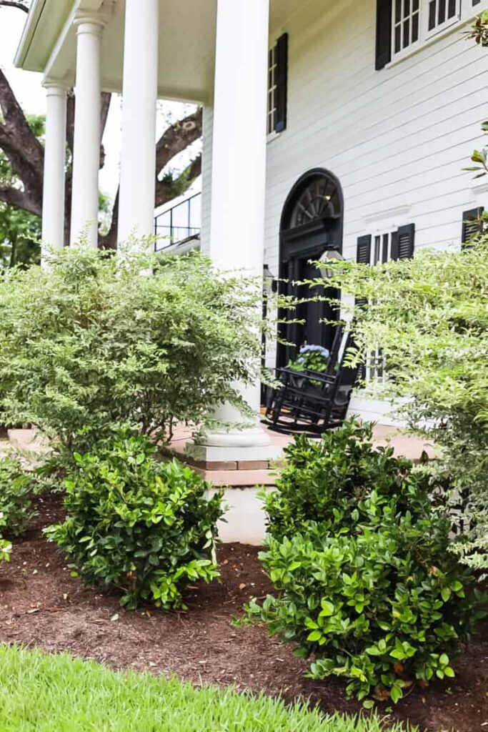 Staying At A Magnolia Vacation Rental Part 2 Cottage On Bunker Hill