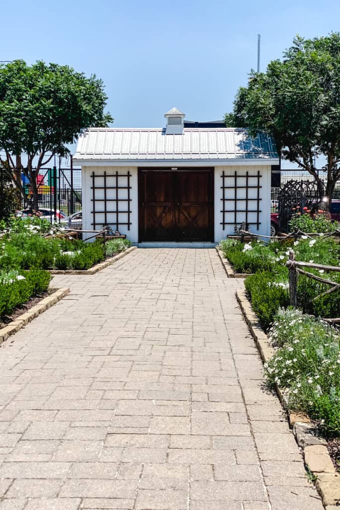 magnolia seed and supply