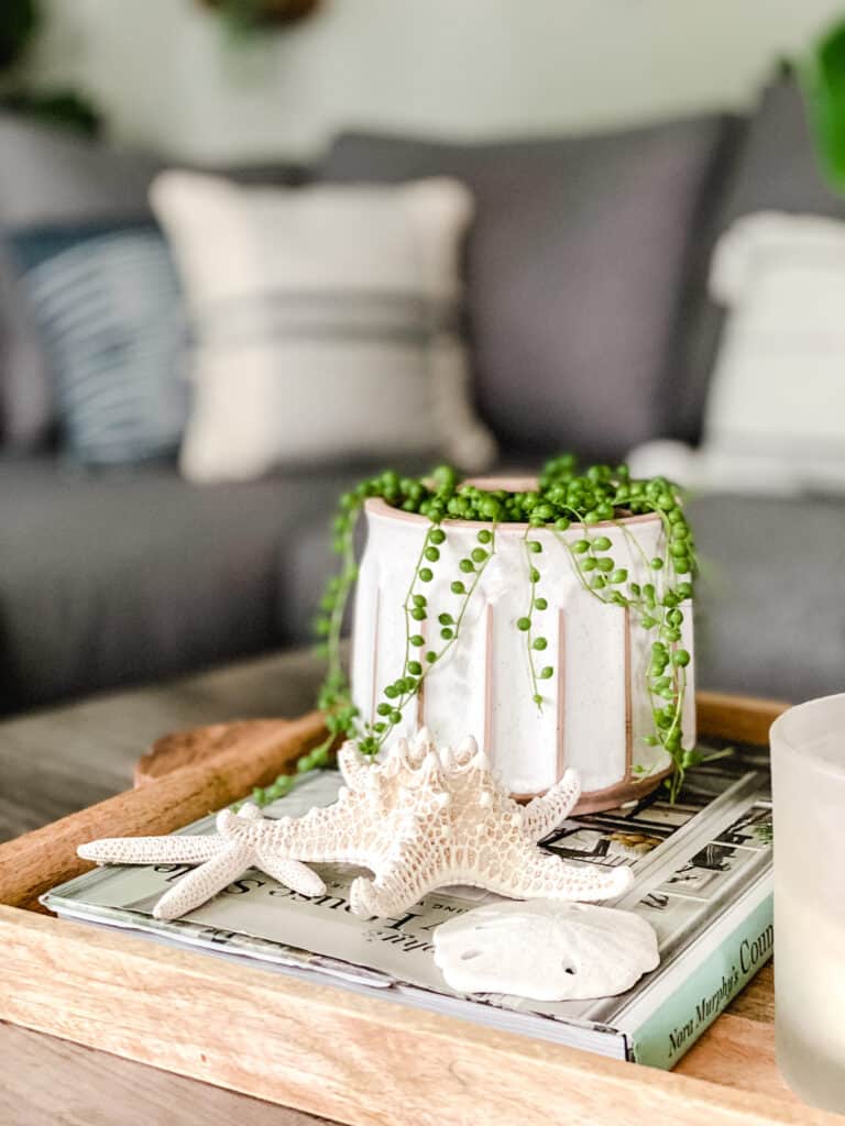 coffee table vignette