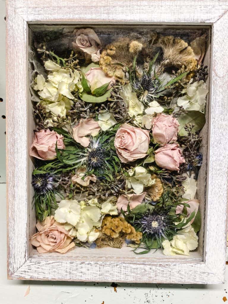preserved flowers in a shadow box