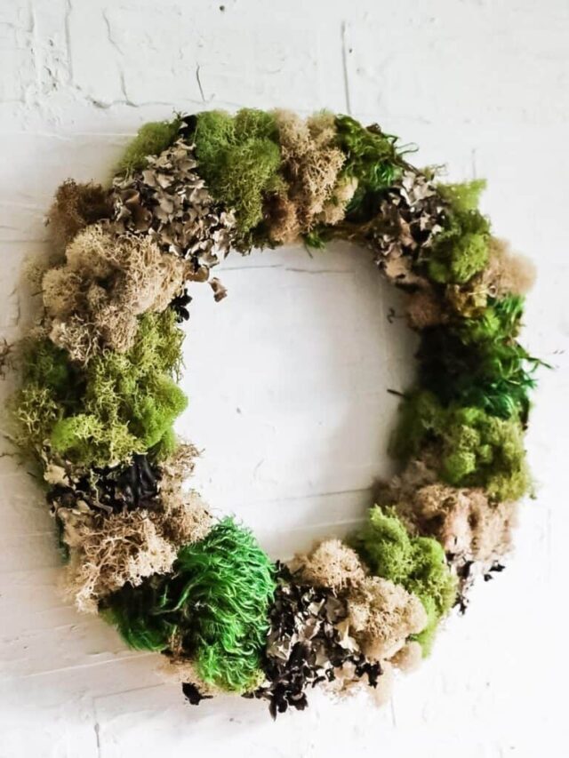 How to Make a Moss Wreath Story