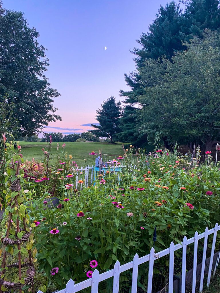 september sunset over garden