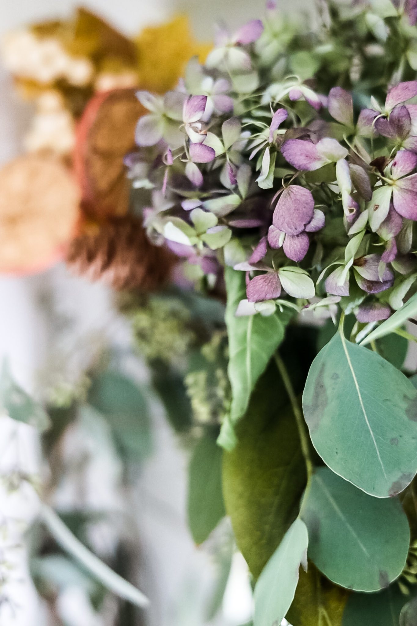 dried hydrangeas