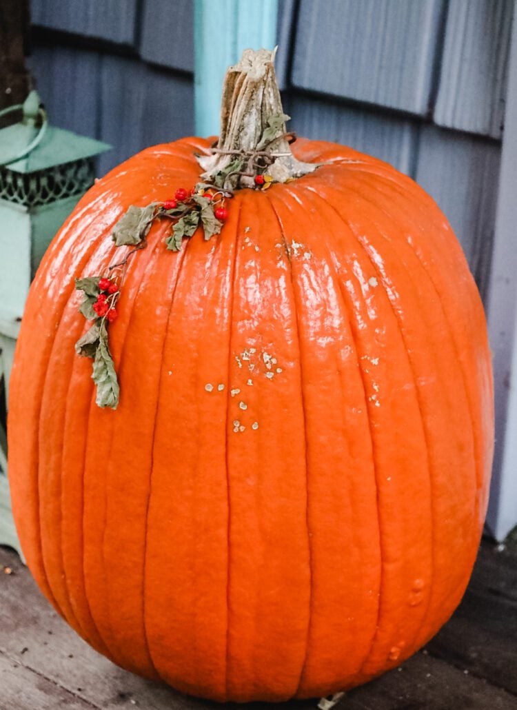 Orange pumpkin on the porch
