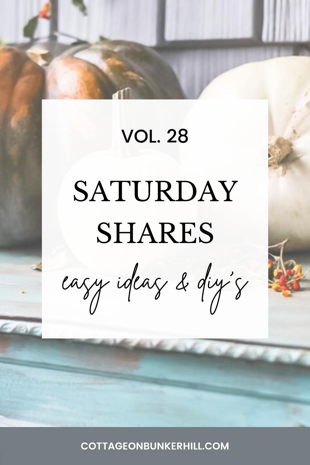 Saturday Shares |Vol 28 feature pic