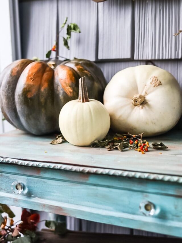 pumpkins displayed on table