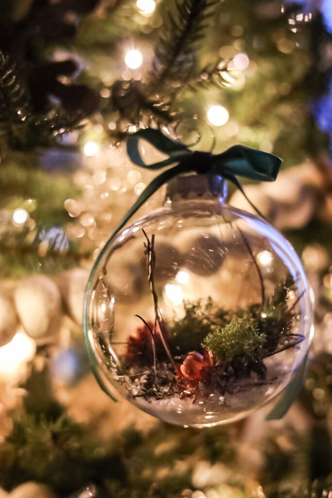 botanical ornament hanging on a tree