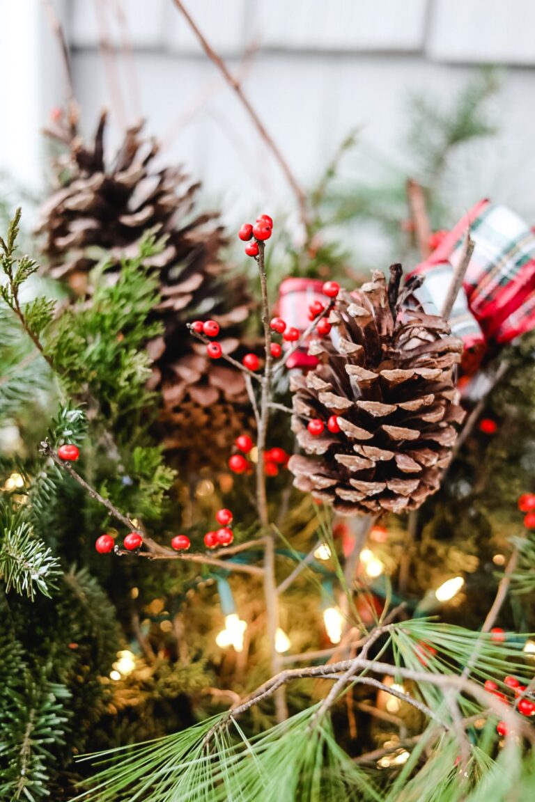 pine cones and berries