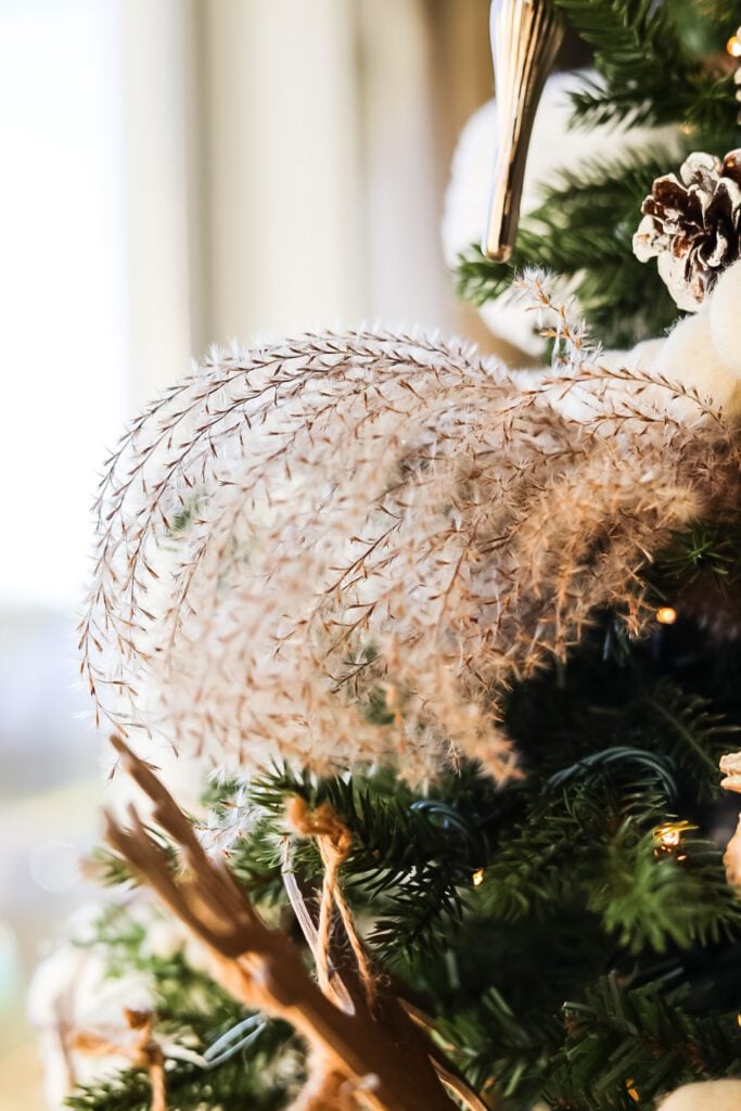dried ornamental grass
