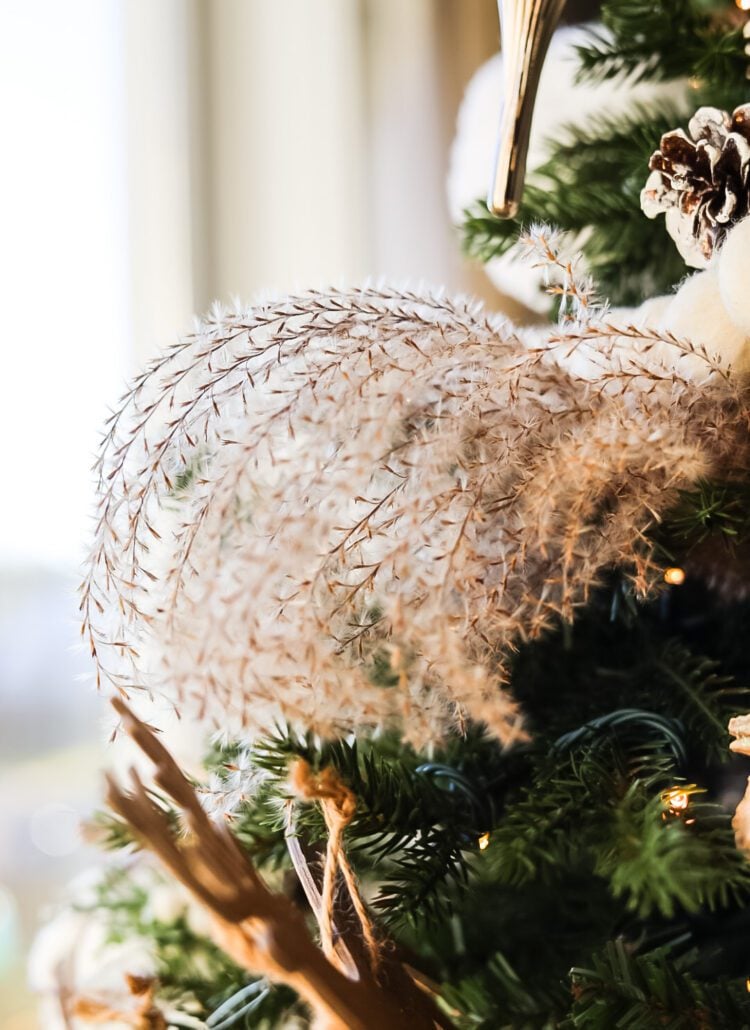 dried ornamental grass