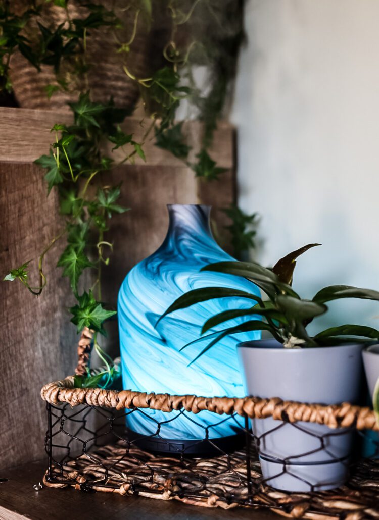 diffuser and plants