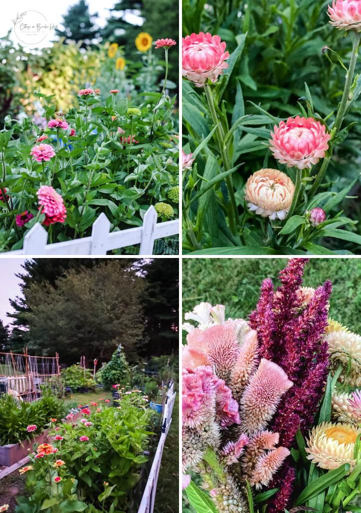 The Ultimate Guide to Starting a Cutting Garden in 2026 - Cottage On ...