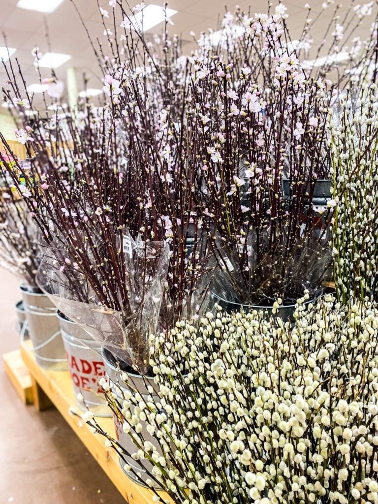 floral branches at trader joe's