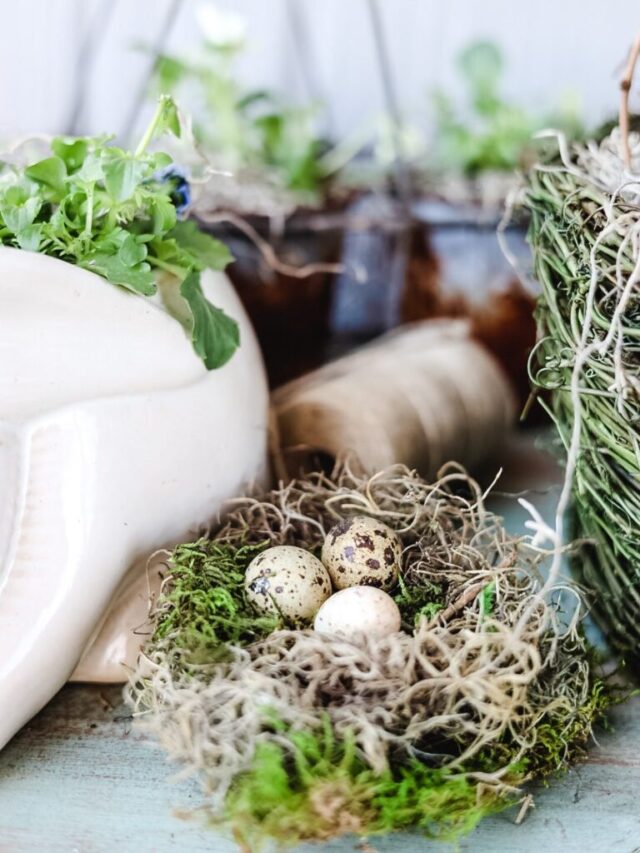 spring front porch feature image