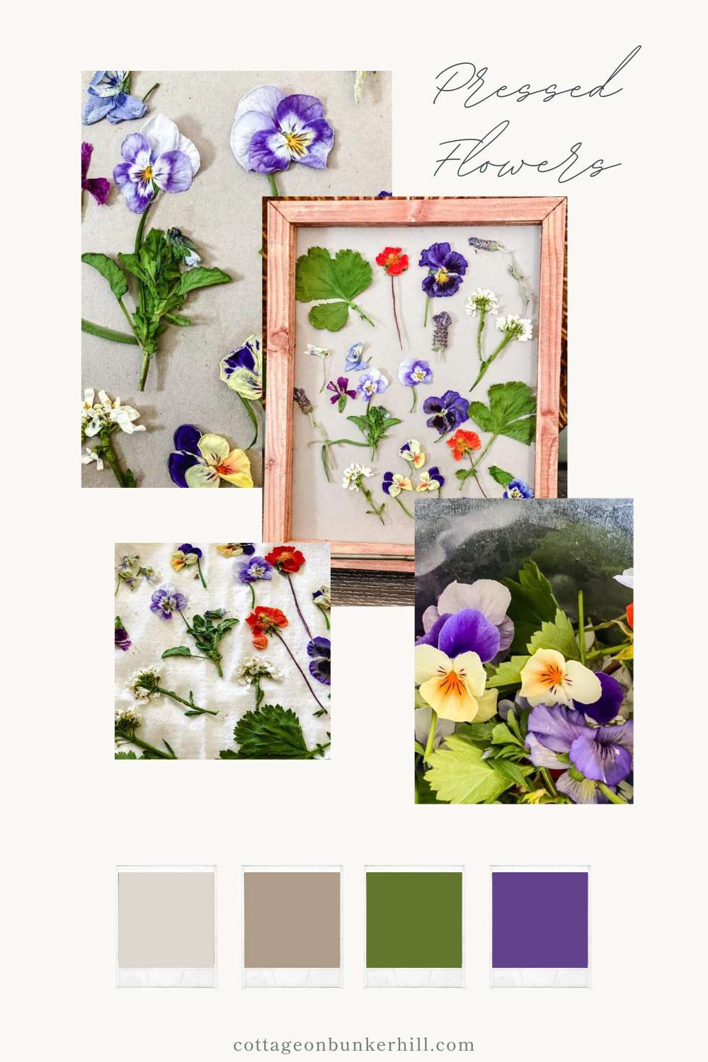 Quick & Easy Microwave Flower Pressing Preserving Blooms in Minutes