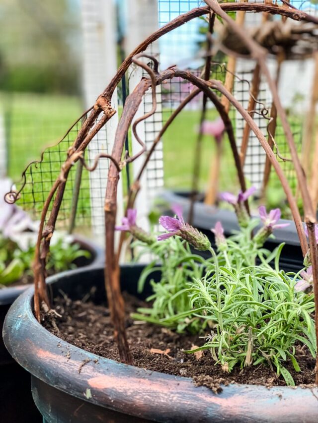 cottage garden planter