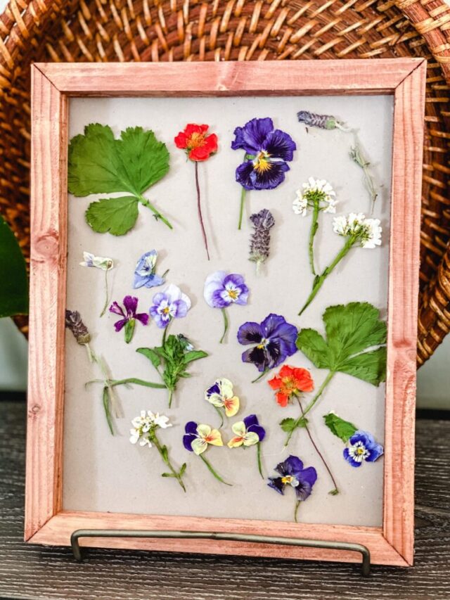 framed art with pressed flowers