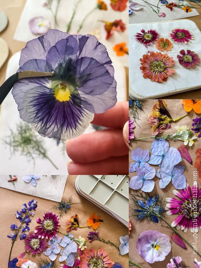 collage of microwave pressed flowers