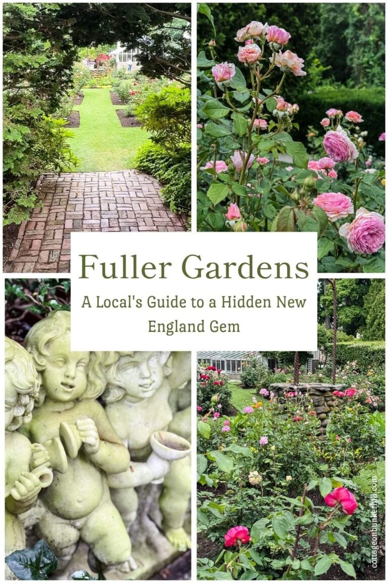 Fuller Gardens: A Local’s Guide to North Hampton, NH’s Hidden Gem