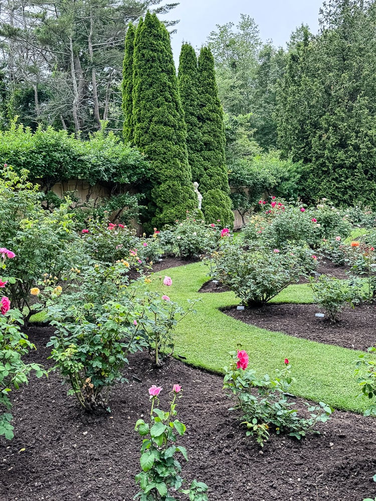 botanical rose garden