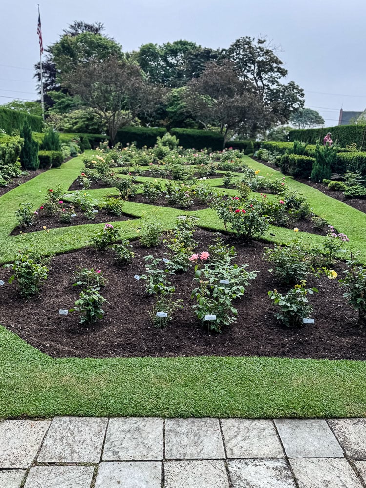 formal English garden view with roses.