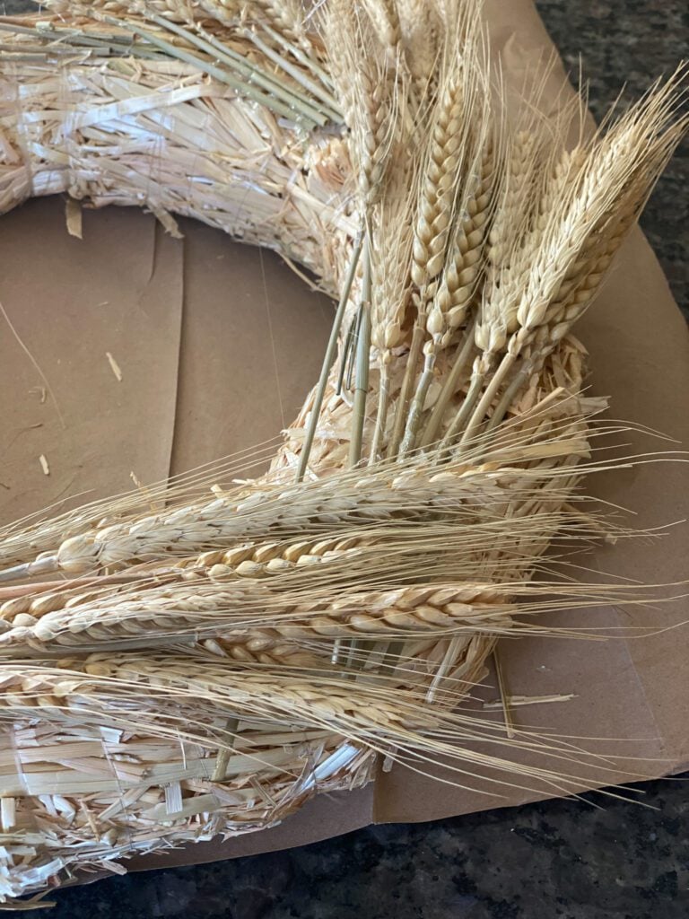 Dried wheat on straw wreath form