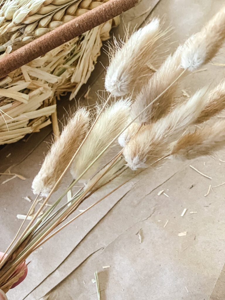 dried bunny tails